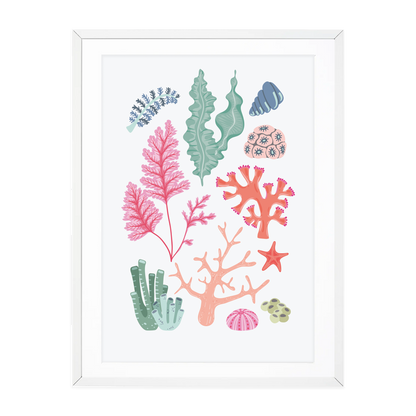 Oh So Daisy Coral Collection Art Print